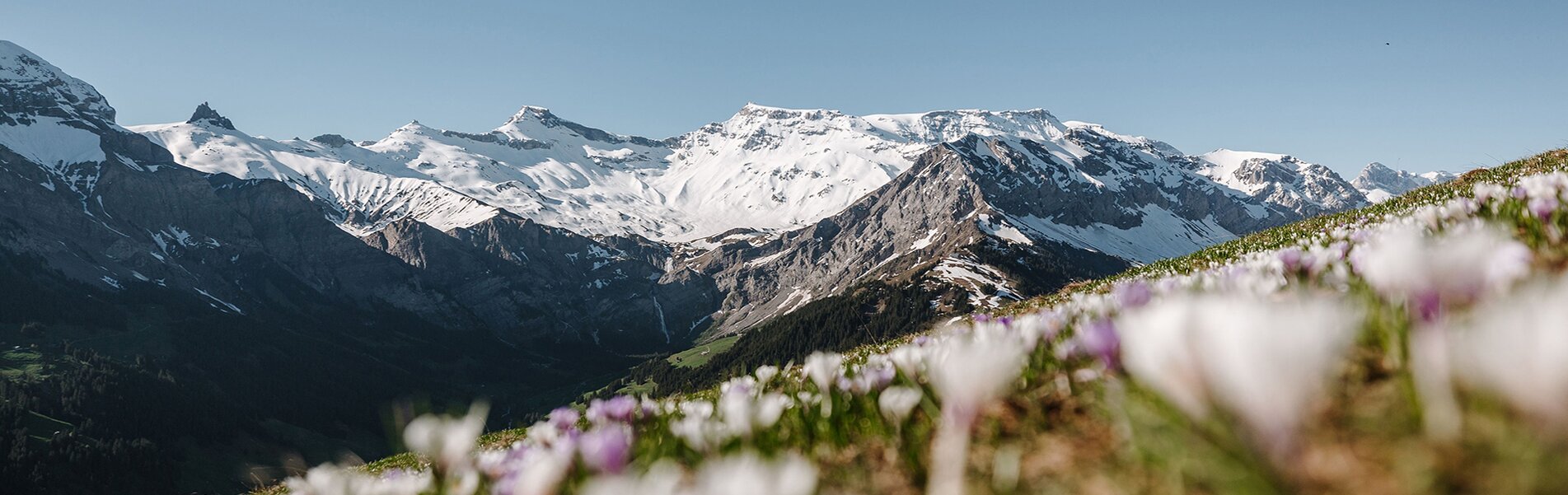 (c) Adelboden-lenk.ch