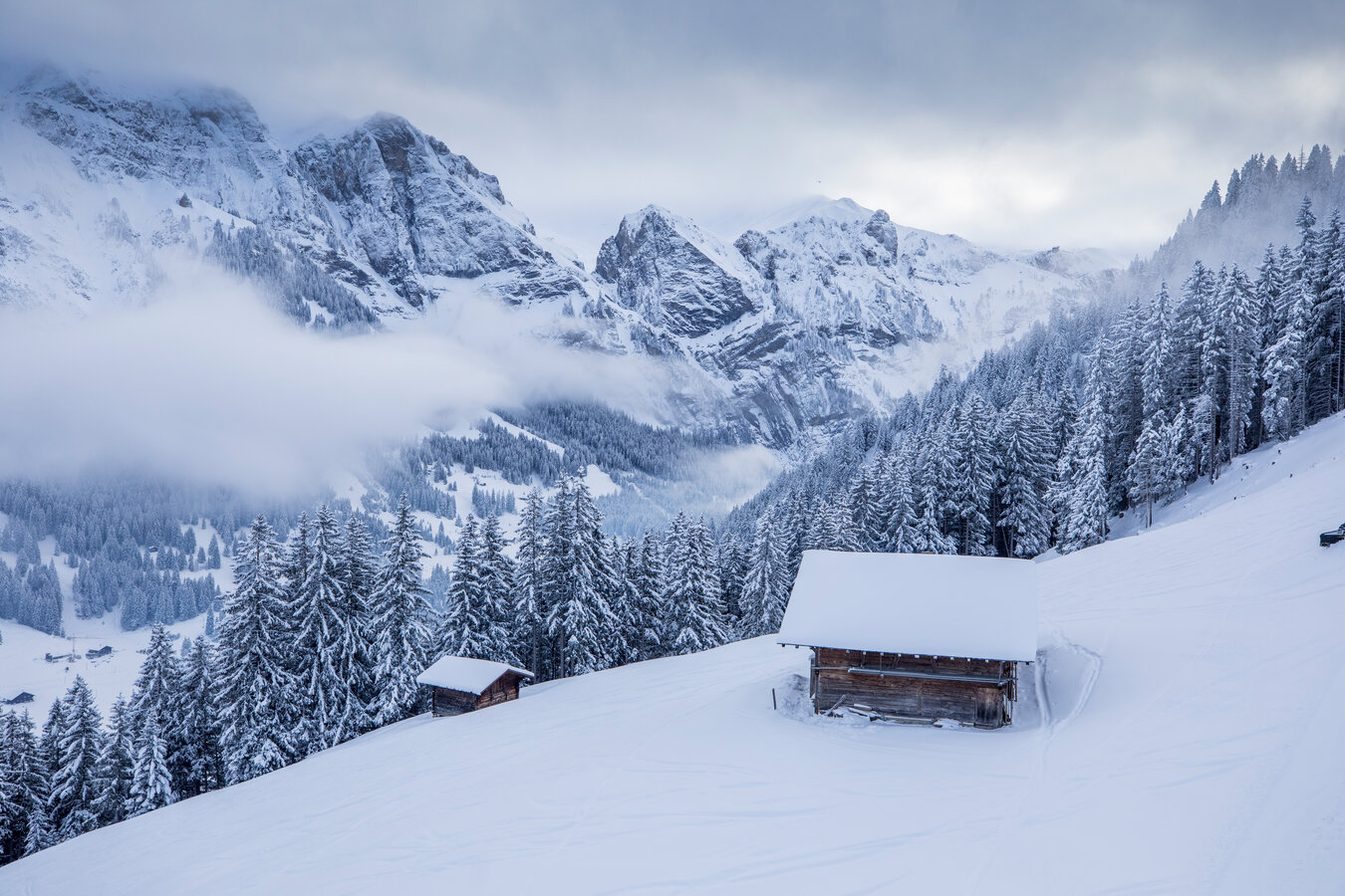 SillerenChuenisbärgli Skiregion AdelbodenLenk